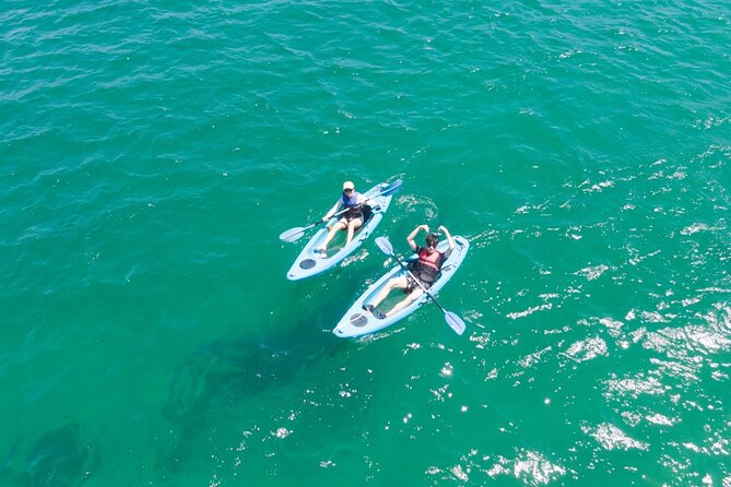 Guided Kayak Tour of Manly Cove Beaches - Meet Your Kayak: Gear, Drybags, and First-Paddle Confidence