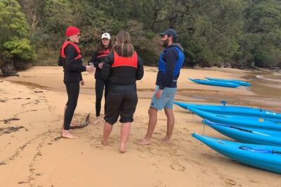 Guided Kayak Tour of Manly Cove Beaches - Manly Yacht Club Start: Easy Getting-Ready Tips