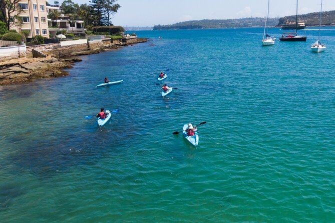 Guided Kayak Tour of Manly Cove Beaches - When Wind Hits: Real Talk on Fitness and Conditions