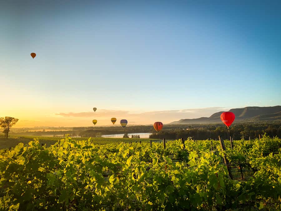 Hunter Valley: Sunrise Balloon Ride with Bubbly Breakfast - Peterson House bubbly breakfast: why it works as the finish