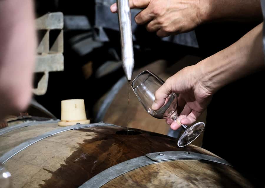 Hunter Valley: Wine, Chocolate and Lunch All Inclusive Tour - Tour Pace and Timing: What the Day Feels Like in Motion