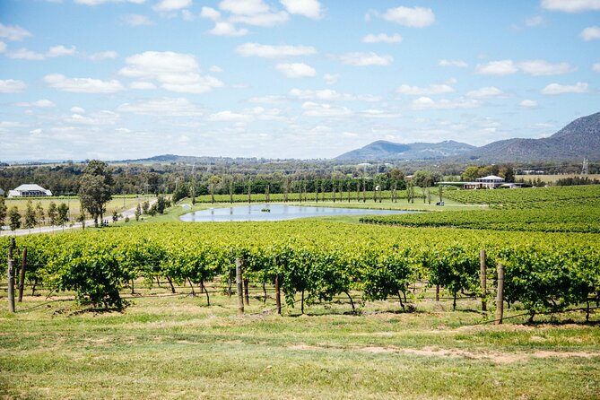 Hunter Valley Wine Tasting Tour from Sydney - Why This Hunter Valley Day Trip Feels Easier Than DIY