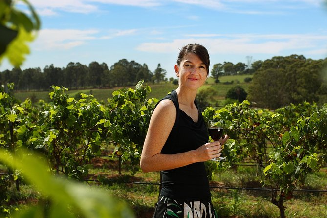 Hunter Valley Wine Tour from Sydney with Lunch and 3 Cellar Door Tastings - Three cellar doors in Pokolbin: tasting smarter than faster