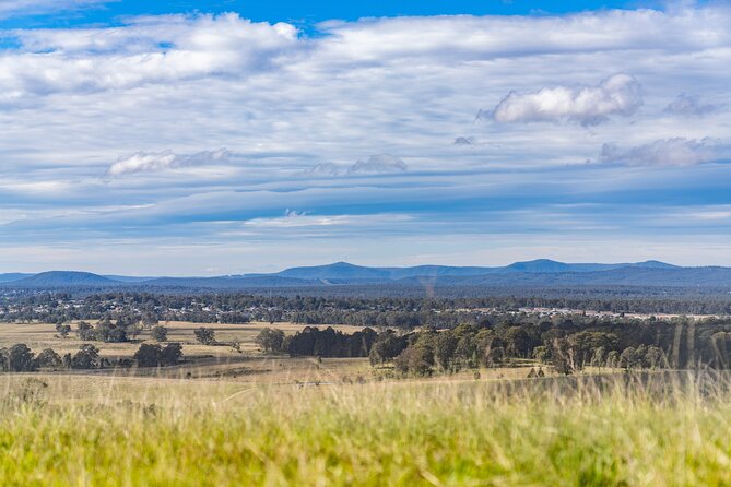 Hunter Valley Wine Tour from Sydney with Lunch and 3 Cellar Door Tastings - Lunch at Hunter Valley Gardens Village: eat like you want to enjoy wine