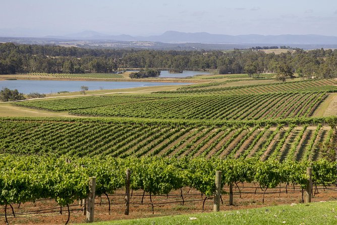 Hunter Valley Wine Tour from Sydney with Lunch and 3 Cellar Door Tastings - Little extras that make it feel like a real day out
