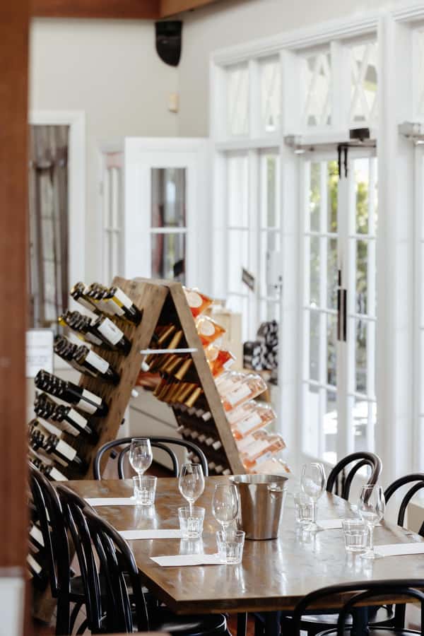 Hunter Valley: Wine Tour with 2-Course Lunch, Choc & Cheese - Mount Pleasant at 11:15am: Pinot Noir with perspective