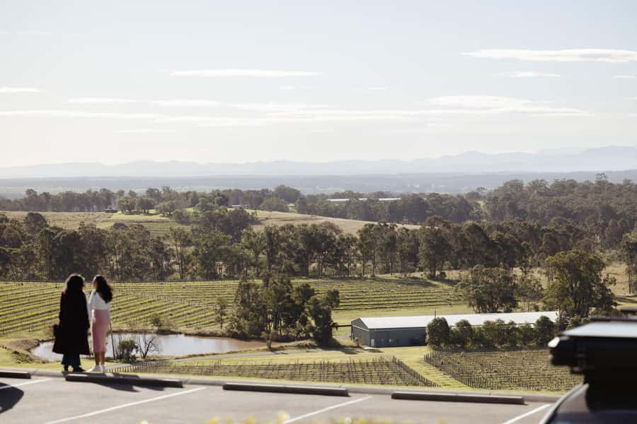 Hunter Valley: Wine Tour with 2-Course Lunch, Choc & Cheese - The cheese finale: Binnorie Dairy and award-winning soft cheese