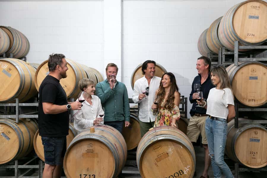 Hunter Valley: Wine Tour with 2-Course Lunch, Choc & Cheese - Audrey Wilkinson at 10:00am: old vines, open views