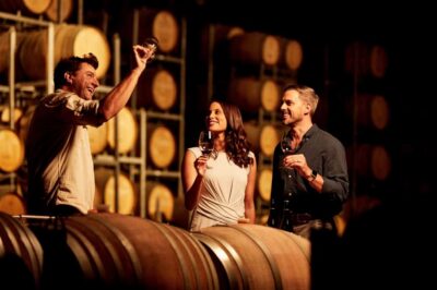 Hunter Valley: Wine Tour with 3 Tastings and Garden Lunch - Three boutique cellar doors: how the tastings actually work