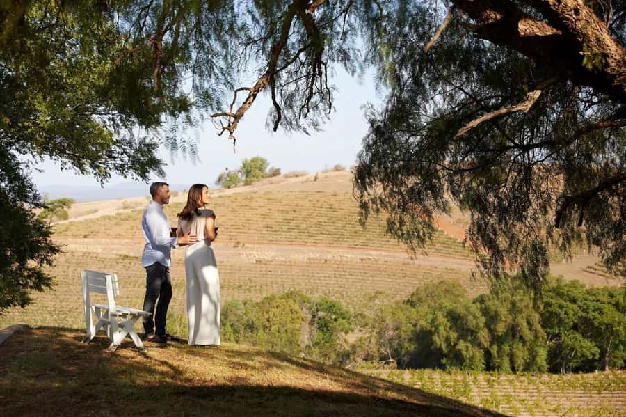 Hunter Valley: Wine Tour with 3 Tastings and Garden Lunch - Optional add-ons: chocolate, lollies, liqueurs, and more shopping time