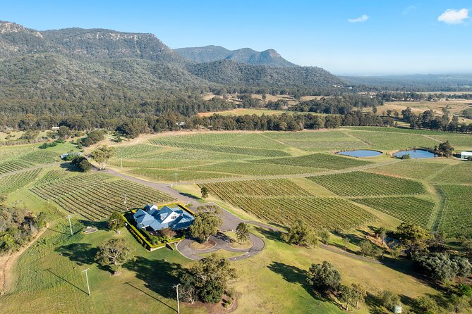 Hunter Valley Wines, 2-Course Lunch, Cheese & Chocolate Tour - A Hunter Valley day built around tasting (not touring marathons)