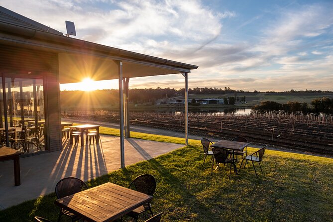 Hunter Valley Wines, 2-Course Lunch, Cheese & Chocolate Tour - The salty counterpoint: Binnorie Dairy Lovedale cheese course