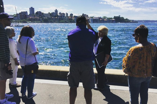 illi-Langi The Rocks Aboriginal Dreaming Tour - Price and pacing: $33 for a 90-minute walking story