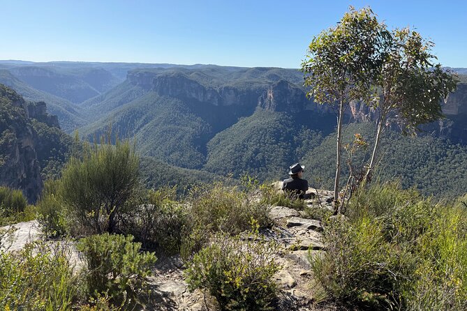 Intimate Blue Mountains Wild Kangaroos & Sunset for Nature Lovers - Blue Mountains National Park: the short-walk start that sets the tone