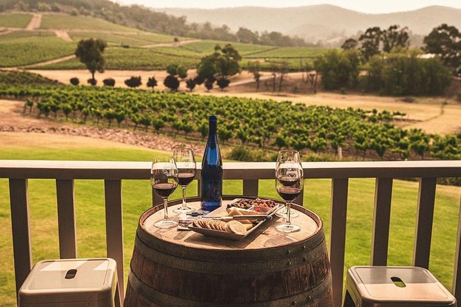 Ivanhoe Wines: Trip Advisor Premium Wine Tasting - The cheese plate: the quiet hero of the whole experience