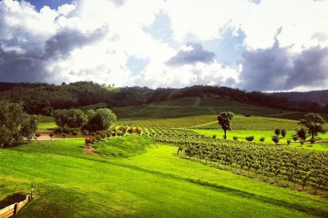 Ivanhoe Wines: Trip Advisor Premium Wine Tasting - Who this tasting is best for (and who might want something else)