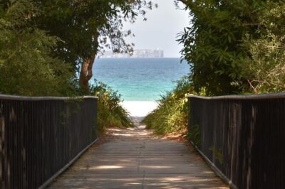Jervis Bay Tour with Dolphins, Kangaroos & World's Whitest Beach - Royal National Park stop at Bulli: your quick reset before the coast