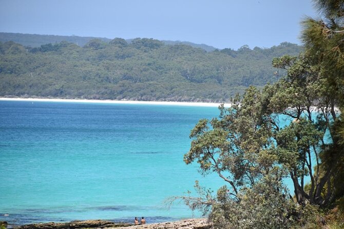 Jervis Bay Tour with Dolphins, Kangaroos & World's Whitest Beach - Huskisson free time: a short break that still feels like a real town