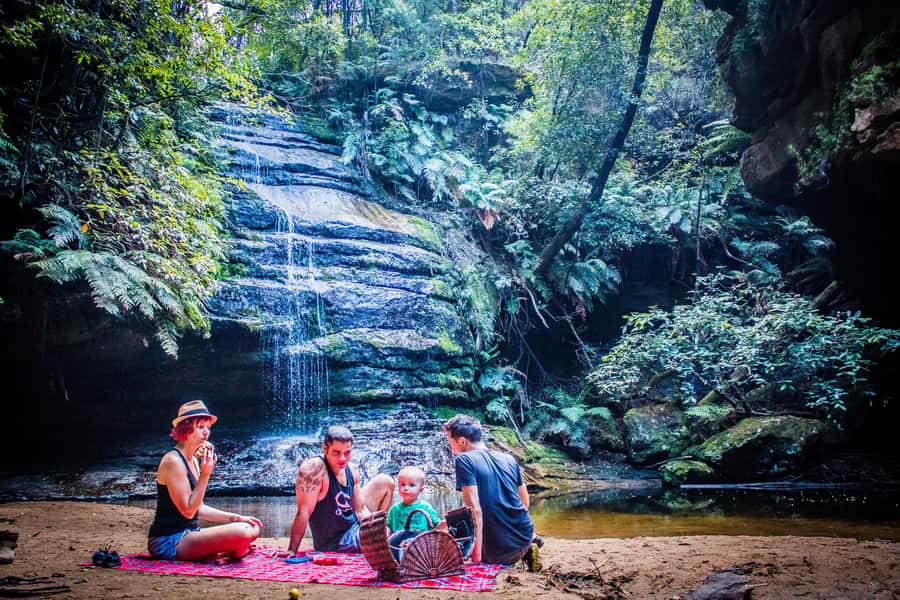 Katoomba: Blue Mountains Full-Day Hop-On Hop-Off Bus Tour - Key things that make this Blue Mountains day work