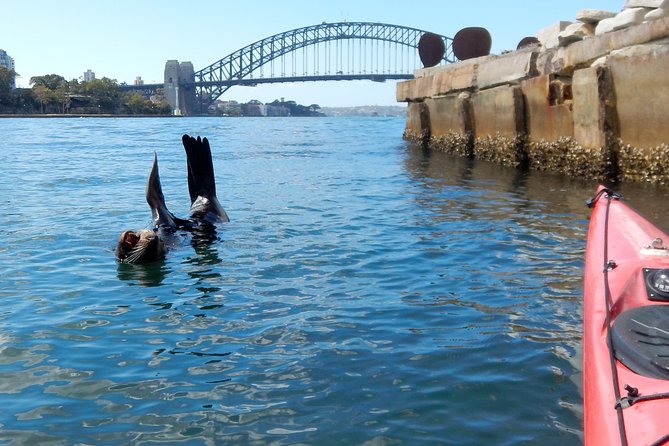 Kayak to Goat Island in Sydney Harbour with Local - What’s included: gear that reduces friction before you even start