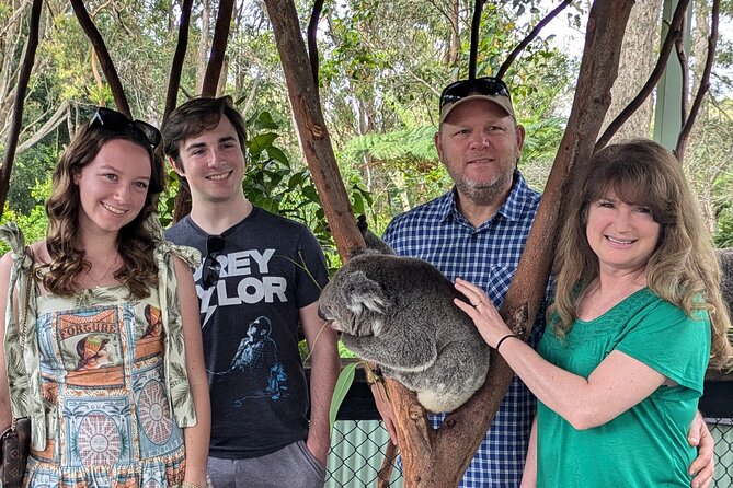 Koala & Kangaroos Experience, Waterfalls and Scenic Train Journey - Key Highlights Worth Marking on Your Day