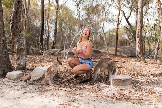 Luxury Hunter Valley Wildlife & Wine Tasting Tour from Sydney - Weather, timing, and what to pack