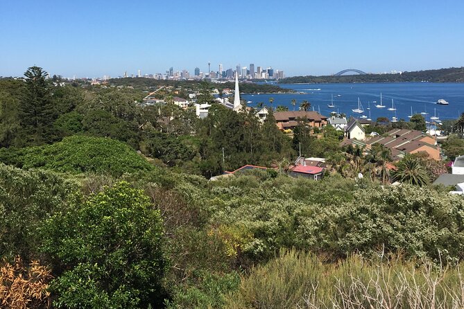 Morning or Afternoon Half-Day Sydney City Sightseeing Tour - Darling Harbour Finish: Lunch Cruise Options and Bridge Views