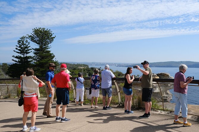 Morning or Afternoon Half-Day Sydney City Sightseeing Tour - Value and Price: What You Get for $109.74