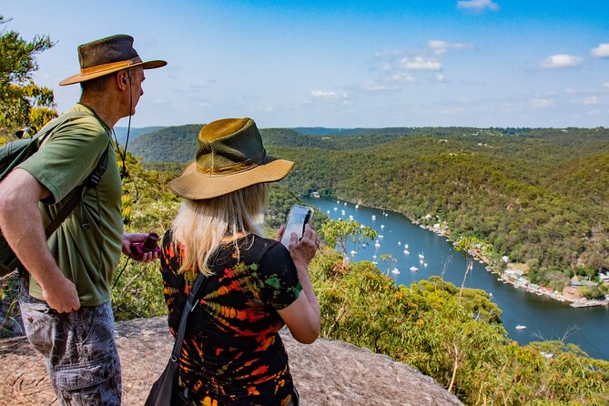 Nature and Wildlife: Australia in One Day - Private Tour - Berowra Valley National Park: bushwalks plus Aboriginal carvings