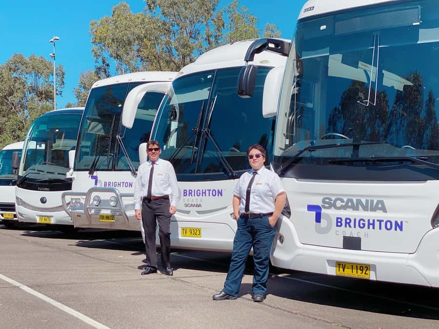 Port Stephens: Dolphin Cruise, Lunch, Koalas & Sandboarding - Price and value: is $140 a fair deal?