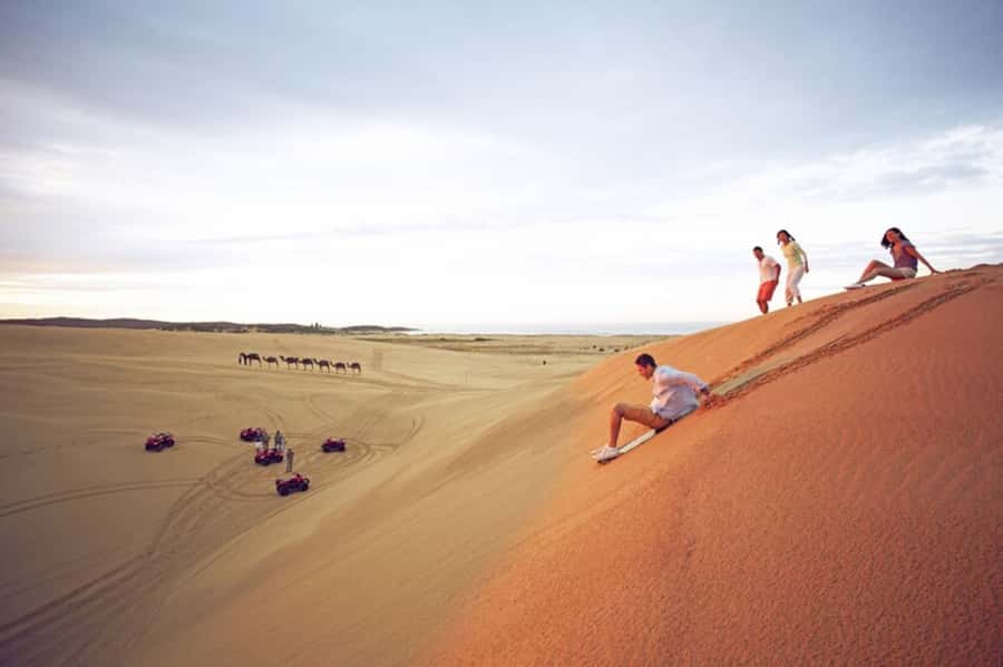 Port Stephens: Dolphin Cruise, Lunch, Koalas & Sandboarding - From Sydney to Nelson Bay: sunrise logistics and the coach rhythm