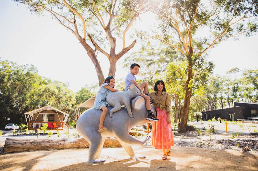 Port Stephens: Koala Sanctuary General Admission Ticket - Newcastle Airport SKYwalk: 225m of tree-top perspective