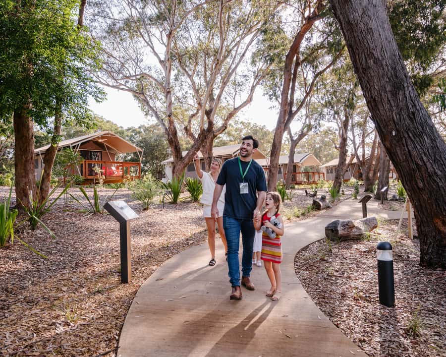 Port Stephens: Koala Sanctuary General Admission Ticket - What to Wear and Bring: Shoes, sun, and the practical stuff
