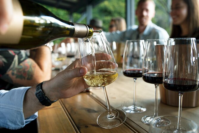 Premium Hunter Valley Wine Tour with Lunch from Sydney - Hunter Valley Gardens: a walk, a reset, and spirit samples