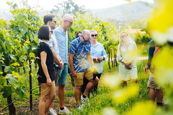 Premium Hunter Valley Wine Tour with Lunch from Sydney - Wine plus cheese and wine plus chocolate: the pairing advantage