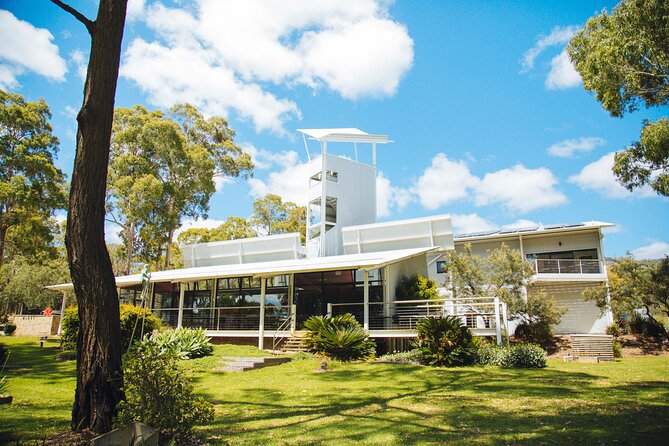 Premium Hunter Valley Wine Tour with Lunch from Sydney - Comfort and pacing: the real-world stuff you’ll want to plan for