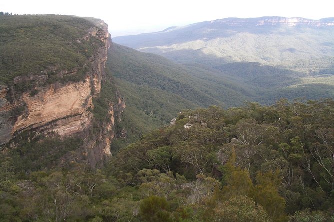 PRIVATE Blue Mountains day tour with local guide. - Three Sisters at Echo Point: your short photo-and-panorama hit