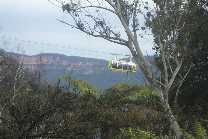 PRIVATE Blue Mountains day tour with local guide. - Blue Mountains main sights: a 4-hour block that gives breathing room
