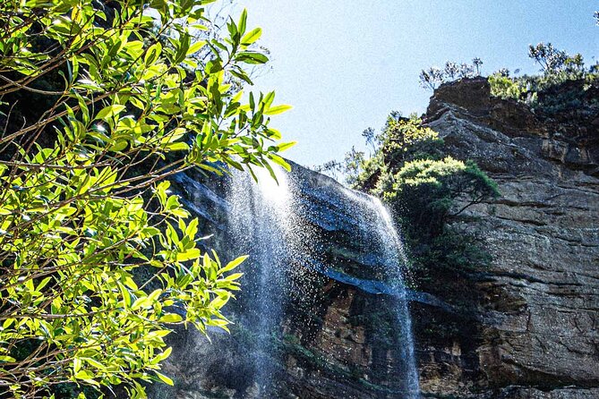 Private Blue Mountains Escape The Crowds Mercedes Tour - Featherdale Sydney Wildlife Park: optional, ticketed, and good for animal time