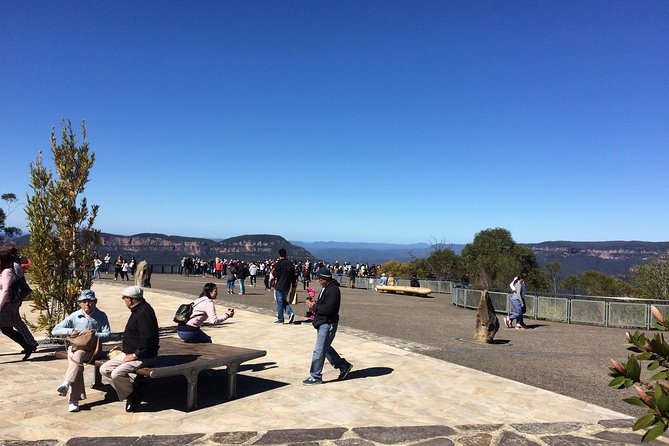 PRIVATE Blue Mountains tour & Koalas, Kangaroos, Cruise plus more - The heart of the scenery: Echo Point and the Three Sisters