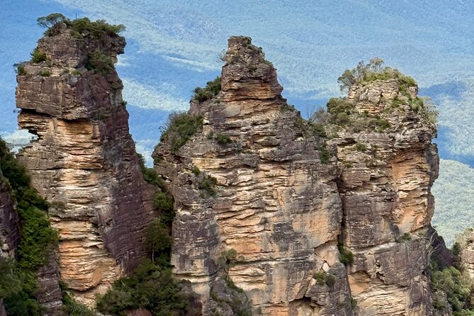 PRIVATE Blue Mountains tour & Koalas, Kangaroos, Cruise plus more - Aboriginal culture moment: the boomerang throw experience