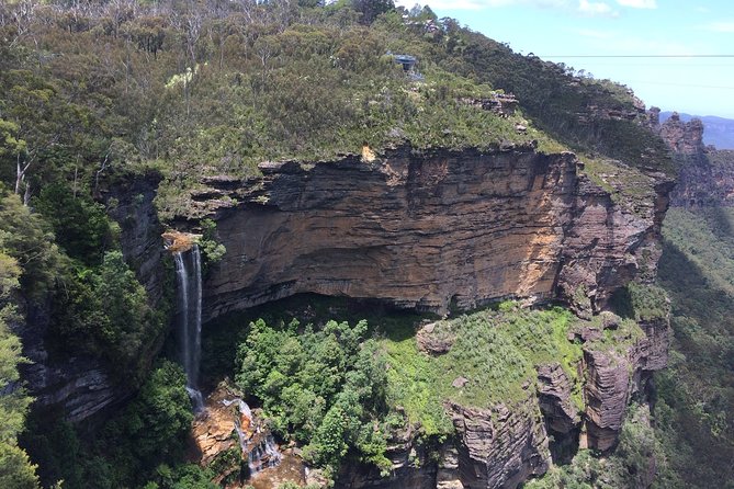 PRIVATE Blue Mountains Tour, Wildlife Park and River Cruise - 8am Pickup to Featherdale Wildlife Park (or Sydney Zoo): Starting With Animals