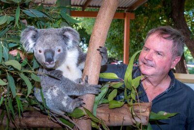 PRIVATE Blue Mountains Wilderness & Wildlife Late Start Tour - Wentworth Falls Lake: bush picnic lunch and birdlife vibes