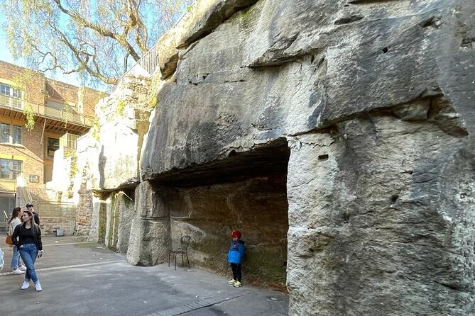 Private City Tour: Best of Sydney - The Domain and Mrs. Macquarie’s Point: your best “first Sydney” perspective
