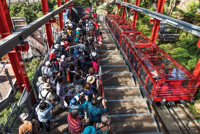 Private Guided Tour: Blue Mountains Tour from Sydney - Featherdale Wildlife Park: The Optional Koala and Kangaroo Stop