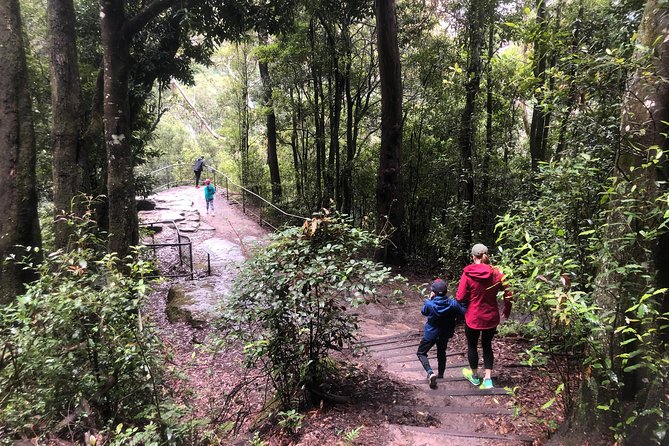 Private Guided Tour from Sydney to Blue Mountains National Park - Jamison Valley Rides and Rainforest Walking Time