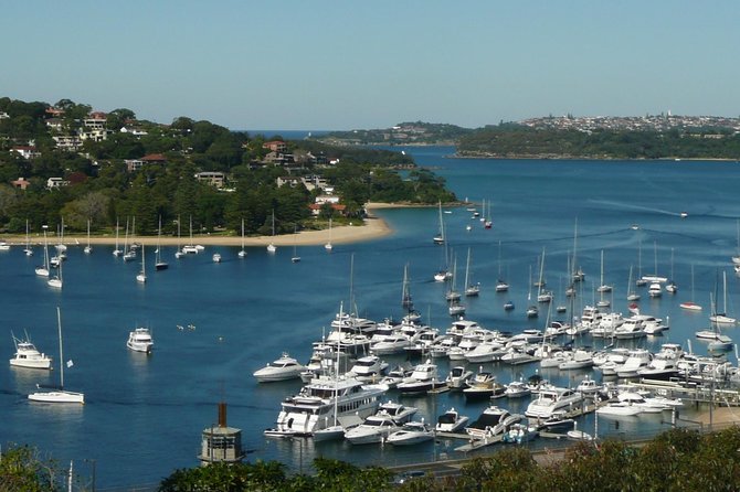 Private Sydney City Tour: The Key Attractions - Darling Harbour to The Rocks, then the Harbour Bridge run