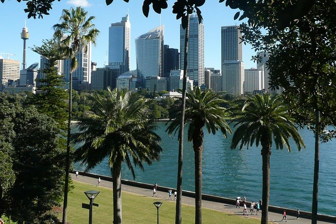 Private Sydney City Tour: The Key Attractions - The Mrs Macquarie’s Chair to Bondi arc: Harbour drama and beach scenery