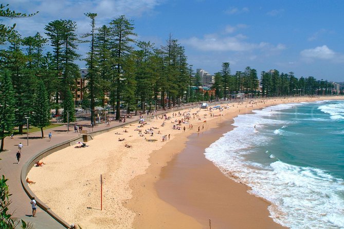 Private Sydney Tour Including Sydney Opera House, Bondi and Manly - The harbour spine: from driving commentary to Kings Cross stories