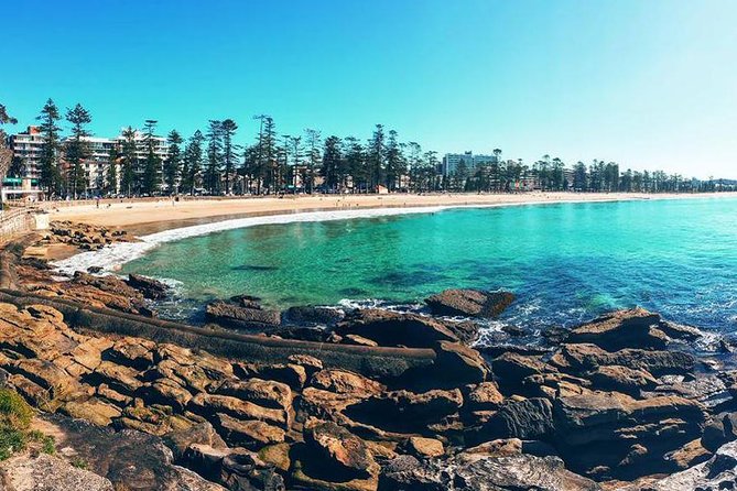 Private Sydney Tour Including Sydney Opera House, Bondi and Manly - Price and what you’re really paying for ($448.28 per person)
